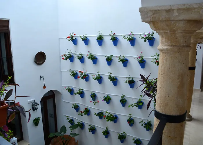 Marisa Hotel Cordoba